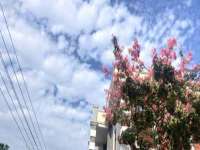 昆山申利花服装辅料有限公司