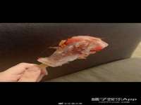 昆山申利花服装辅料有限公司